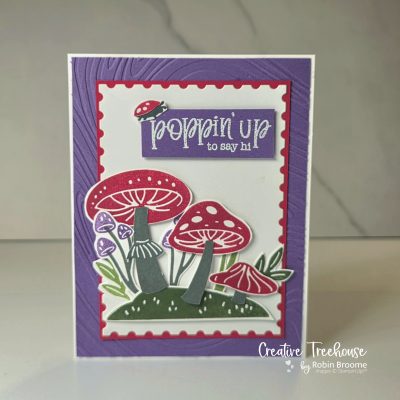 Terrific Toadstools saying “hi”